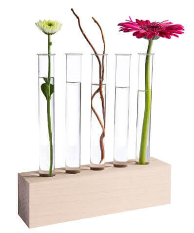 Hölzerner Reagenzglashalter mit Gläsern und Blumen