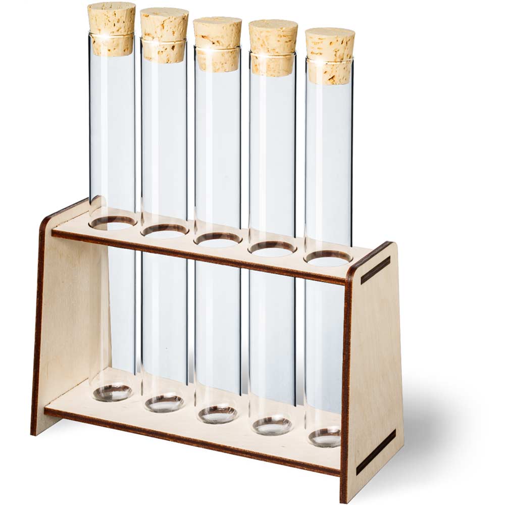 Reagenzglasständer Holz, 5 Löcher, Ø 24 mm – schlichtes Design
