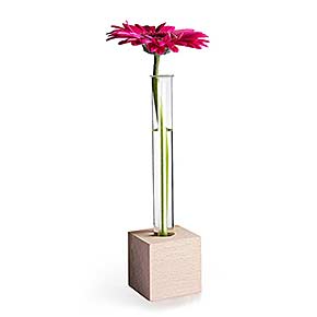 Dekoidee: Reagenzglas Vase mit Blume