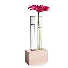 Dekoidee: Reagenzglas Vase mit Blume