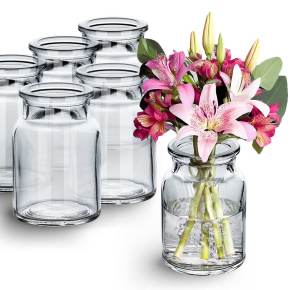 Ein Set aus sechs kleinen Glasvasen, ideal für Mini-Blumenarrangements und stilvolle Tischdekorationen
