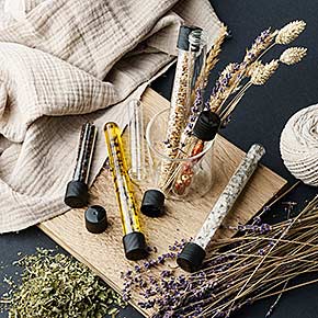Reagenzgläser aus Glas mit Schraubverschluss – kreative DIY Deko mit Trockenblumen, Kräutern und Gewürzen