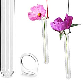 Blumen im Reagenzglas zum Aufhängen mit Schnur 